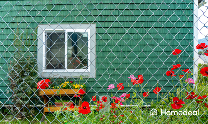 Tuingaas hekwerk voor een schuurtje met klaprozen erachter