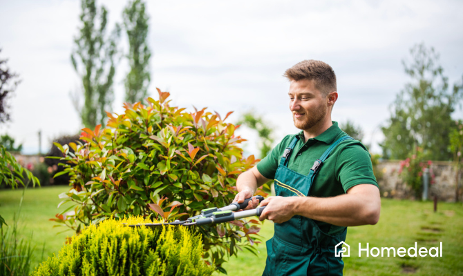 Jonge hovenier is een struik aan het snoeien met een heggenschaar