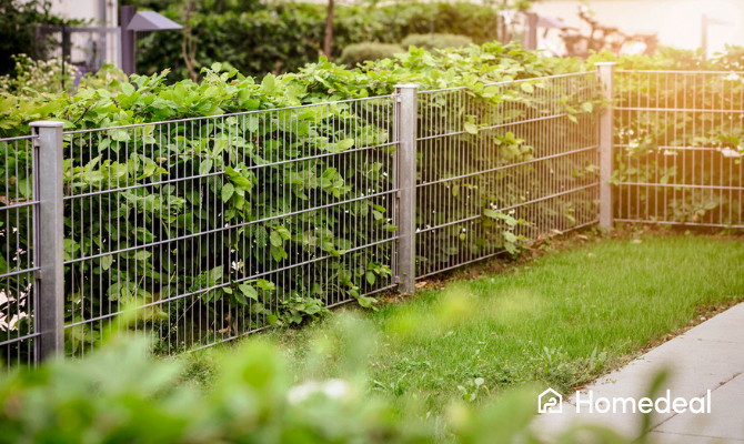 Laag enkelstaafmat hekwerk met een haag erachter