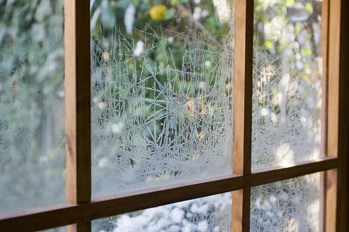 Enkel glas